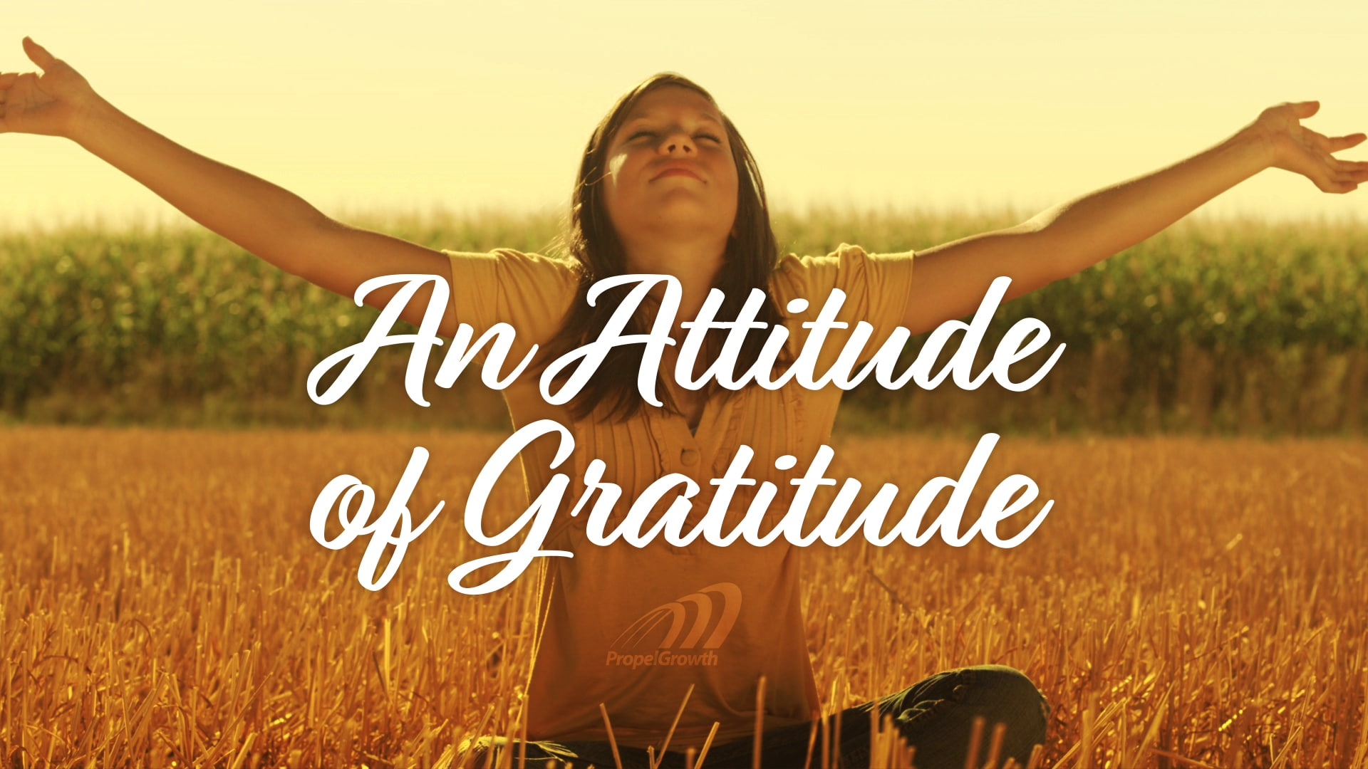 The Essence of Gratitude: Unlocking the Power of Thankfulness