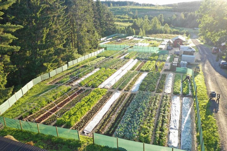 The Benefits of Gardening for Mental Health
